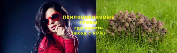 mix Алексин