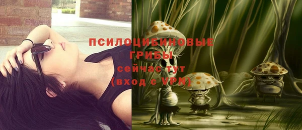 круглые Алексеевка