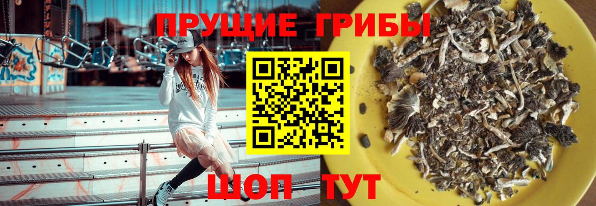 Шумерля  Псилоцибиновые грибы MAGIC MUSHROOMS  Вход с VPN  Галлюциногенные грибы MAGIC MUSHROOMS 